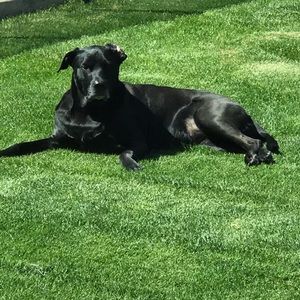 Meet your Posher, Jillian